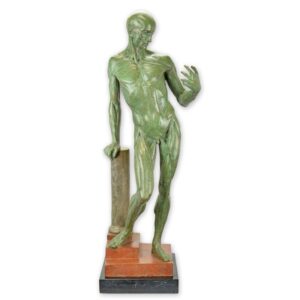 Detaillierte Bronzeanatomiestudie Skulptur eines muskulösen Mannes